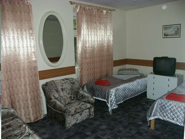 Гостиница Мини-отель Северная Санкт-Петербург-33